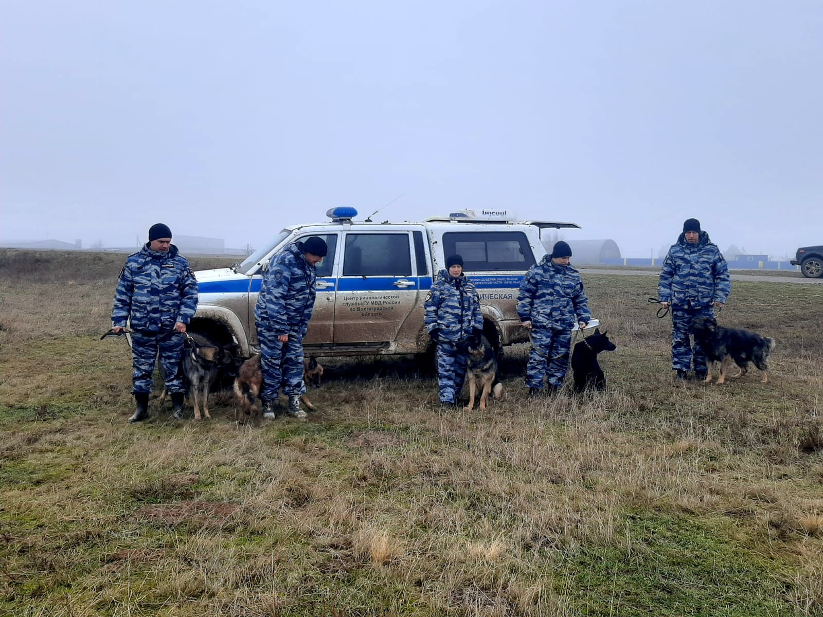 Новости волгограда сегодня последние свежие события