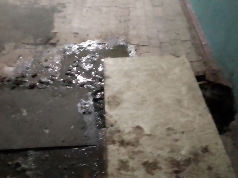 Управляющая компания бездействует: в Волгограде фекалиями затоплен подвал жилого дома